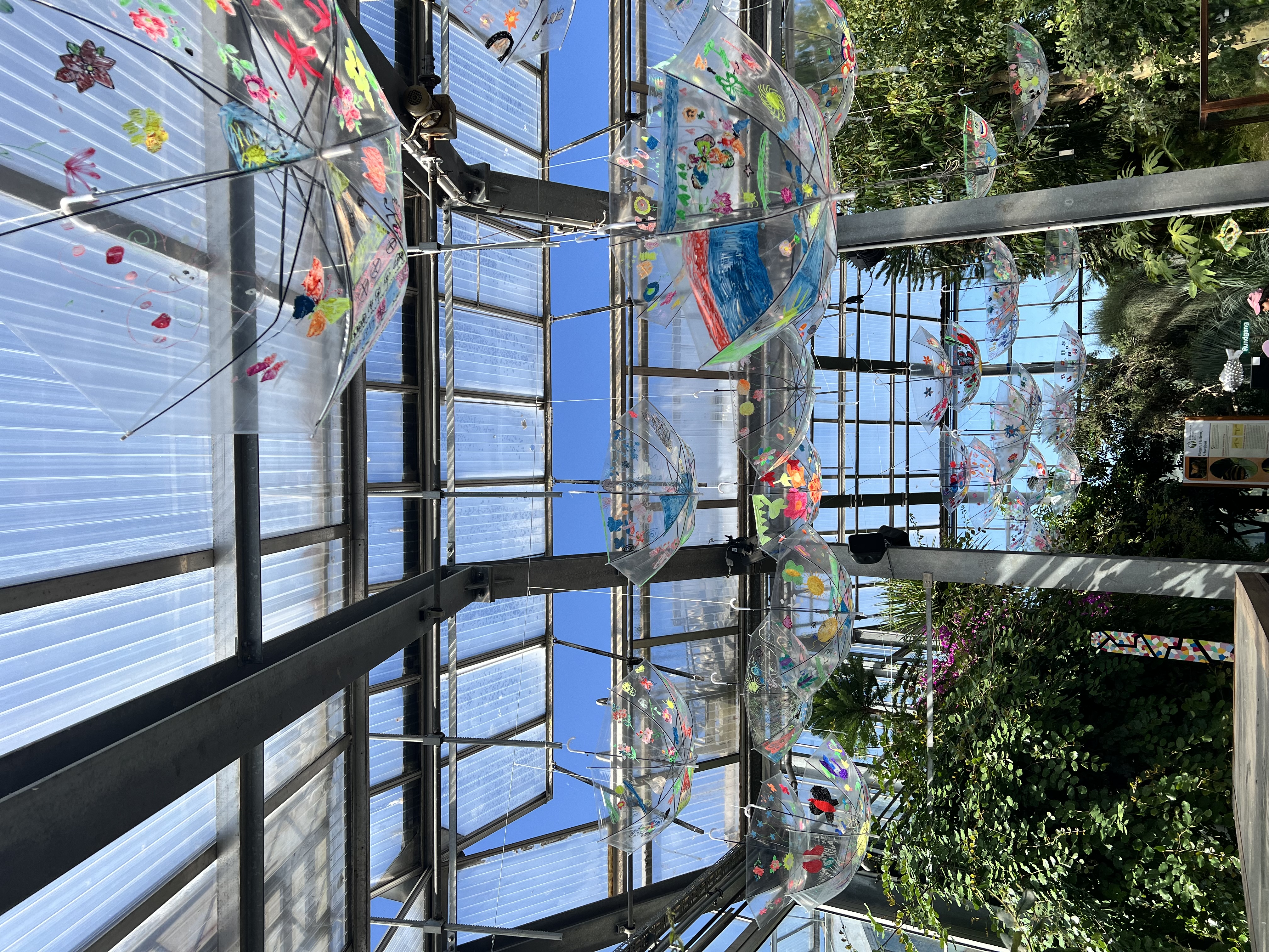Alle ersten bis vierten Klassen durfte die Kunstinstallation im Botanischen Garten Kiel gestalten.